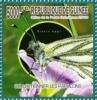 Colnect-5407-997-Butterflies.jpg