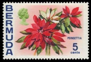 Colnect-1353-180-Poinsettia.jpg