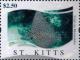 Colnect-6310-281-Eagle-ray.jpg
