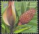 Colnect-2144-482-Geli-geli.jpg