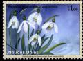 Colnect-2543-835-Snowdrop.jpg