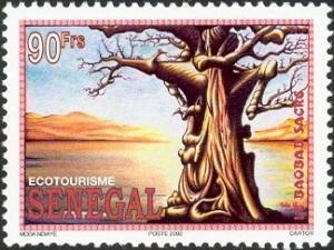 Colnect-1618-832-Baobabs.jpg