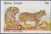 Colnect-3992-847-Leopards.jpg