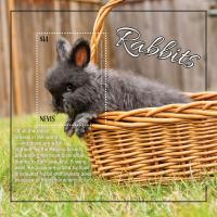 Colnect-6447-841-Rabbits.jpg