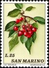 Colnect-1685-853-Cherries.jpg