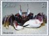 Colnect-5866-585-Ghost-crab.jpg