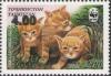 Colnect-3920-286-Reed-Cats.jpg
