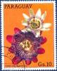 Colnect-2321-486-Passiflora.jpg