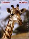 Colnect-4967-871-Giraffes.jpg