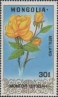 Colnect-1252-884-Meilland.jpg