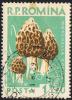 Posta_Romana_-_1958_-_mushroom_1LEU.jpg