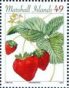 Colnect-2923-738-Strawberries.jpg