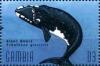 Colnect-4698-218-Right-whale.jpg