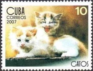 Colnect-1483-898-Two-Kittens.jpg