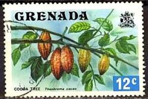 Colnect-3211-068-Cocoa-branch.jpg