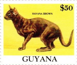 Colnect-4910-448-Havana-Brown.jpg