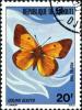 Colnect-1052-078-Butterflies.jpg