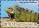 Colnect-5727-078-Green-Iguana.jpg