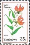 Colnect-4597-694-Flame-Lily.jpg