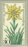 Colnect-152-995-Edelweiss.jpg