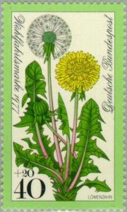 Colnect-153-095-Dandelion.jpg