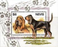 Colnect-4411-195-Bloodhound.jpg