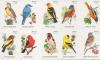 Colnect-4222-997-Song-Birds.jpg
