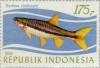 Rasbora_einthovenii_1983_Indonesia_stamp.jpg