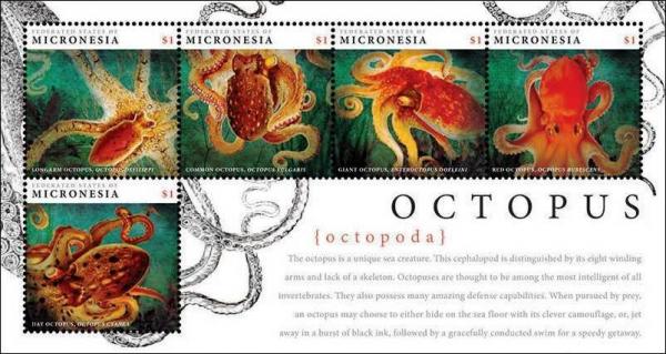 Colnect-5812-198-Octopuses.jpg