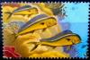 Colnect-5880-069-Dolphin-Fish.jpg