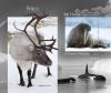 Colnect-6304-689-Arctic-Fauna.jpg