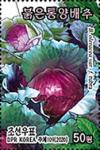 Colnect-6777-939-Red-Cabbage.jpg