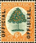 Colnect-4156-849-Orange-Tree.jpg