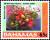 Colnect-3817-049-Guana-berry.jpg