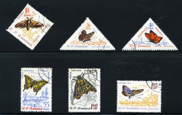 Skap-romania_06_bfly-u.jpg