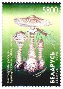 1998._Stamp_of_Belarus_0289.jpg