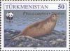 Stamps_of_Turkmenistan%2C_1993_-_Caspian_seal_%28Phoca_caspica%29_on_pebble_beach.jpg