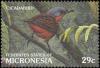 Colnect-3137-409-Common-Cicadabird-Coracina-tenuirostris.jpg
