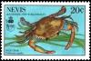 Colnect-3533-418-Blue-crab-Callinectes-sapidus.jpg