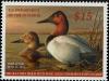 Colnect-4343-482-Canvasback-Aythya-valisineria.jpg