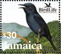 Colnect-5269-684-Jamaican-Blackbird-Nesopsar-nigerrimus.jpg