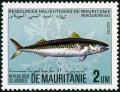 Colnect-998-919-Atlantic-Mackerel-Scomber-scombrus.jpg