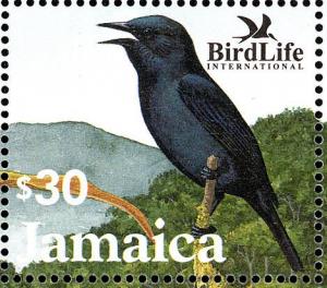 Colnect-5269-684-Jamaican-Blackbird-Nesopsar-nigerrimus.jpg