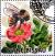 Colnect-3748-357-Bumble-Bee-Bombus-anachoreta-Double-Cinnamon-Rose-Rosa-m.jpg