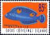 Colnect-2403-217-Humphead-Wrasse-Cois-aygula.jpg