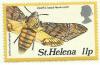 Colnect-3909-137-Death-rsquo-s-head-hawk-moth-Acherontia-atropos.jpg