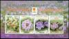 Colnect-4391-119-Wild-Flowers-of-Bangladesh---Bandung-2017-Stamp-Exposition.jpg