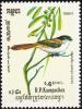 Colnect-1523-481-Long-tailed-Black-headed-Shrike-Lanius-schach-nigriceps.jpg