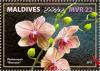 Colnect-6243-187-Phalaenopsis--Nivacolor-.jpg