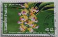 Colnect-2371-421-Aerides-falcata.jpg